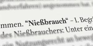 Nießbrauch im Buch, oder Gesetzestext