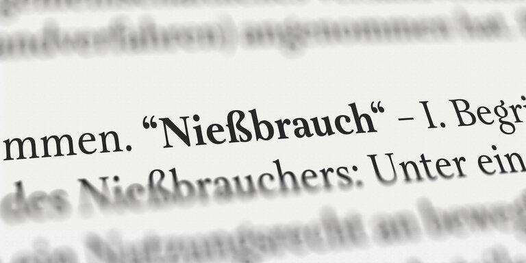 Nießbrauch an Immobilien: Alles, was Sie wissen müssen - Holzhaus online